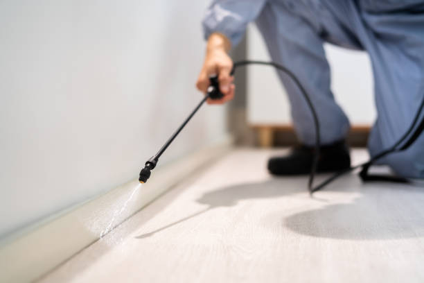 Rodent Entry Point Assessment in Cannon AFB