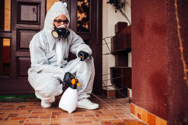 Attic and Crawl Space Rodent Treatment in Cannon AFB
