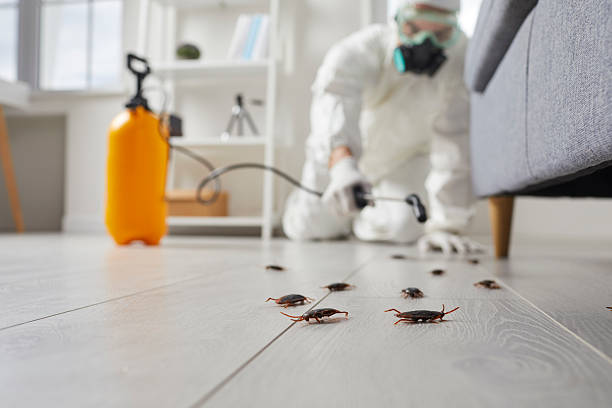 Commercial Rodent Management in Cannon AFB